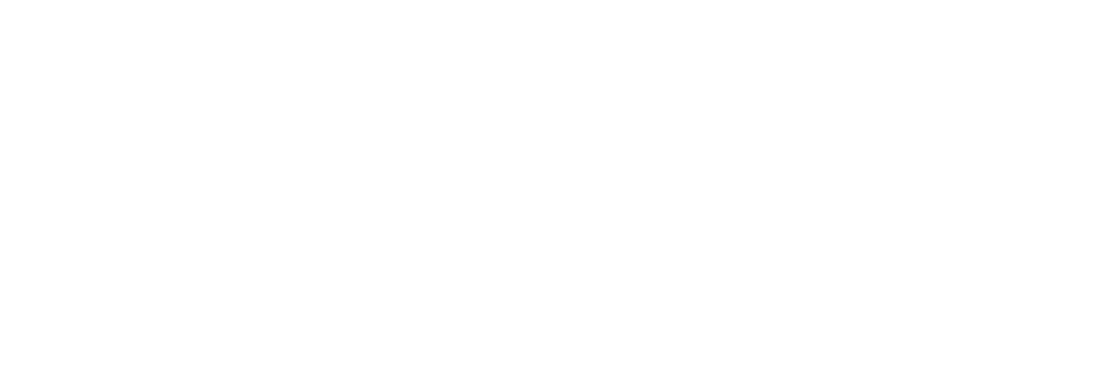 logo de litium
